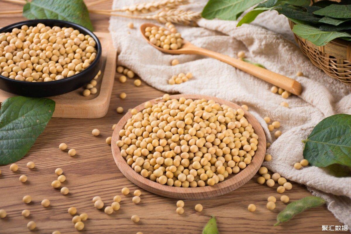 摄图网_501067383_banner_黄豆（企业商用）